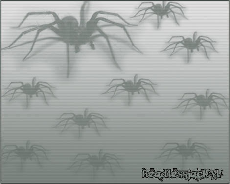 .Spiders
