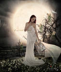 libertad by eross-666
