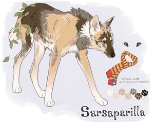 Sarsaparilla Ref