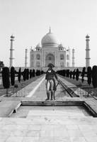 Napoleon in front of Taj Mahal