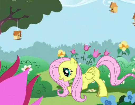 Kid Fluttershy