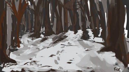 Winter forest