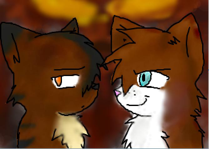 Brambleclaw And Hawkfrost By Anime Animal On Deviantart Brambleclaw And Hawkfrost By Anime Animal On Deviantart