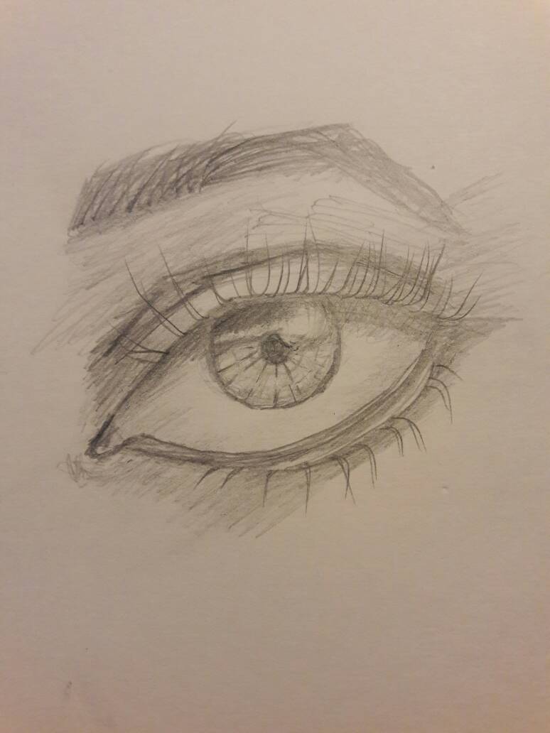 Eye Sketch