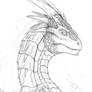 Draco:sketch