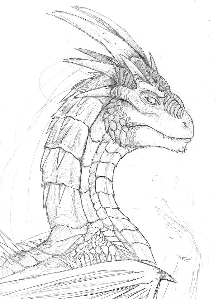 Draco:sketch