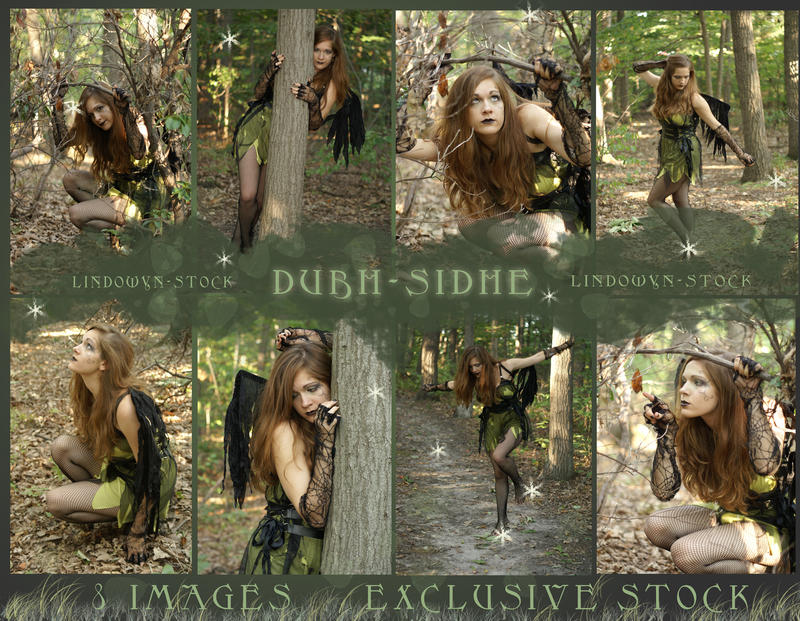 Exclusive Sidhe Stock Pack