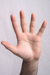 Hand Stock 1