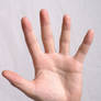 Hand Stock 1