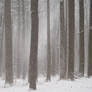 OMG SNOW EEEEE