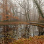 LHP: Foggy Pond