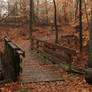 LHP: Bridge in the Forest