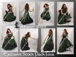 Exclusive Stock Pack Four by lindowyn-stock