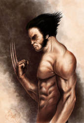 Wolverine