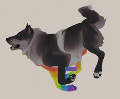 rainbow pup