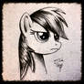 Rainbow Dash Face