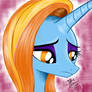 Sassy Saddles