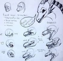 [Tutorial] Basic Dragon Expressions!