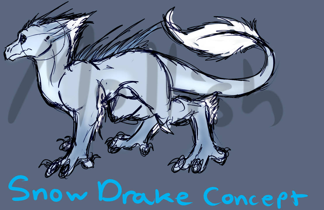 OLD Snow Drake Concept by Mollish on DeviantArt