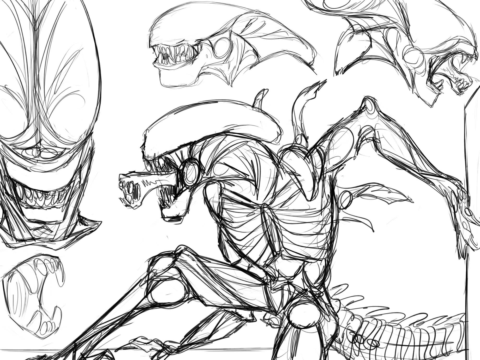 Xenomorph Sketches 7 6 17 By Mollish On Deviantart Xenomorph Sketches 7 6 17 By Mollish On Deviantart