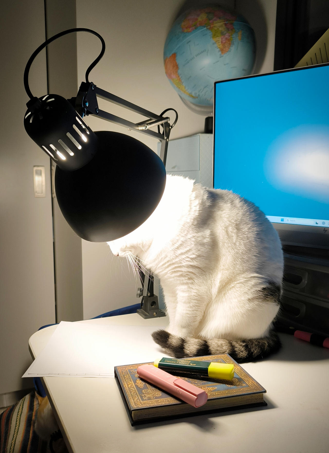 Cat-lightment