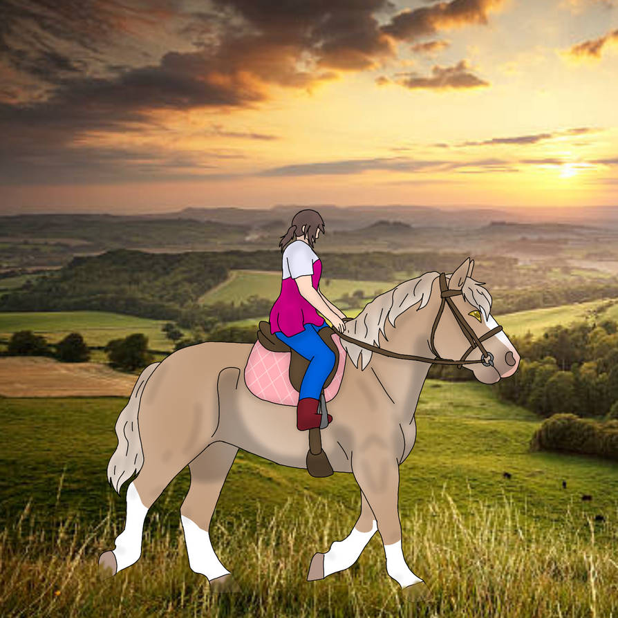 Gorgeous Sunset Ride with Goldie by SawaOkita39 on DeviantArt