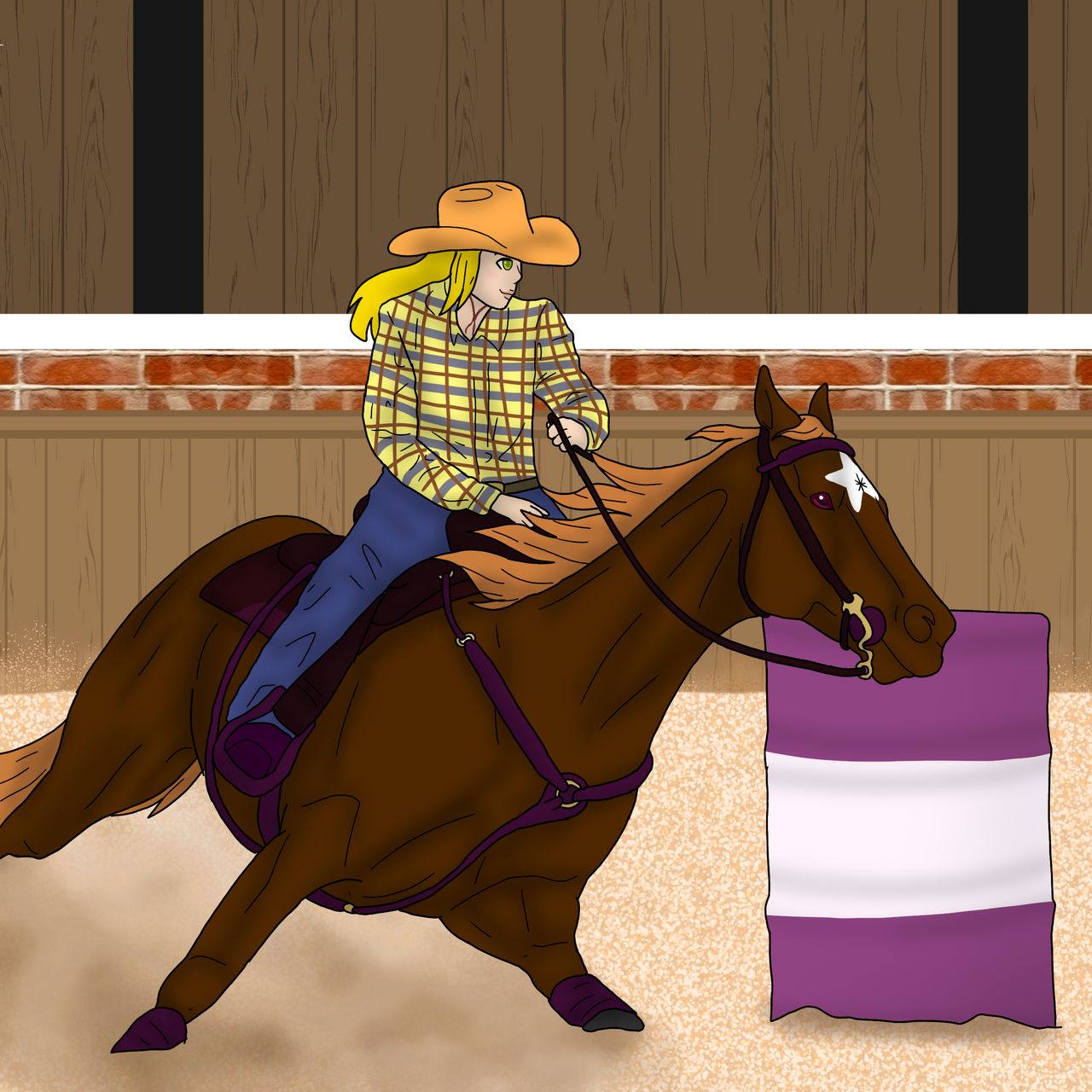 Barrel Racing Practice with Starbright by SawaOkita39 on DeviantArt
