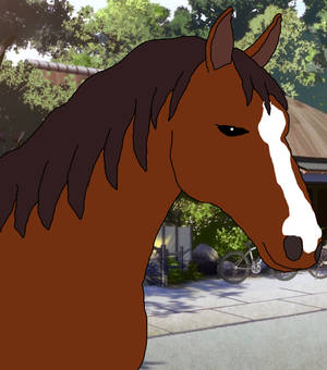 Sabure (Sawa's Pet Horse) Horse Head Tutorial