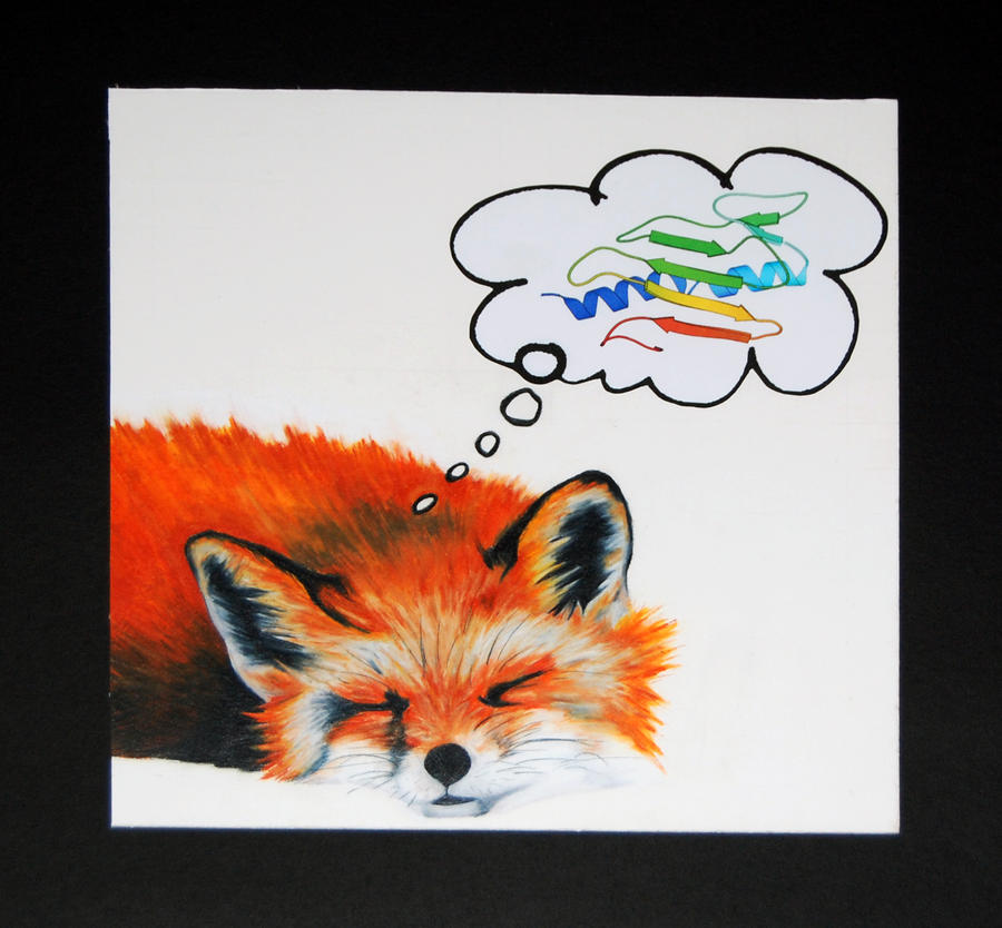 Dreaming Fox