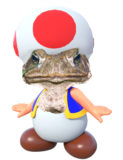 If Toad really was a toad by W476 on DeviantArt