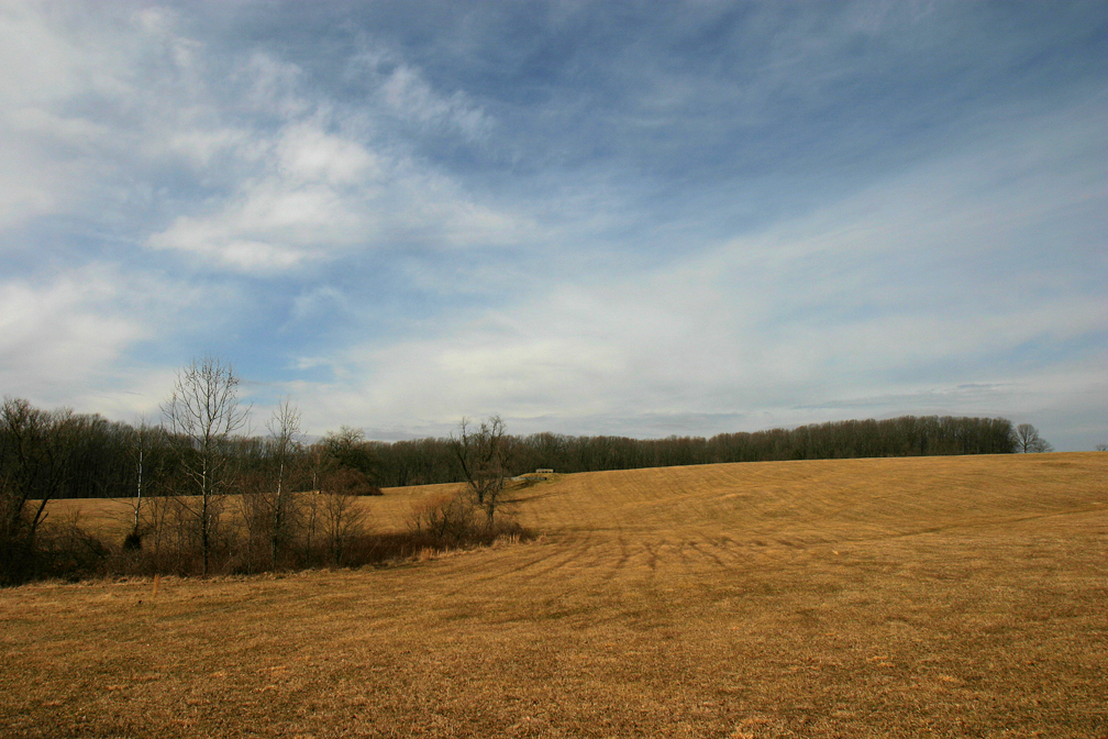 Through Fallow Fields