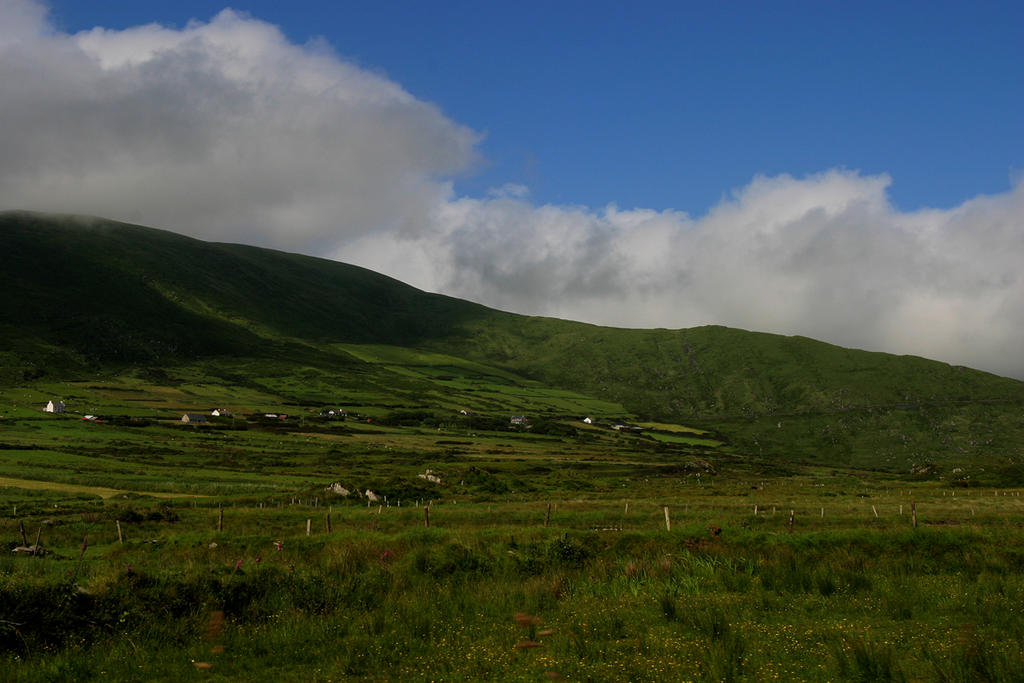 A Carpet of Green