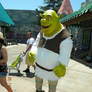 Shrek cosplay at Universal Studios, Hollywood