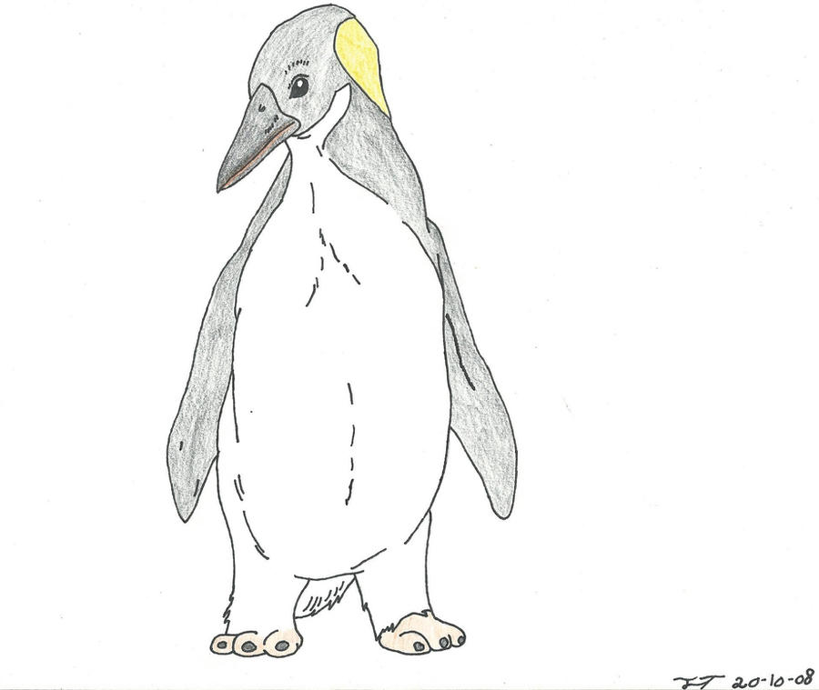 Emperor Penguin