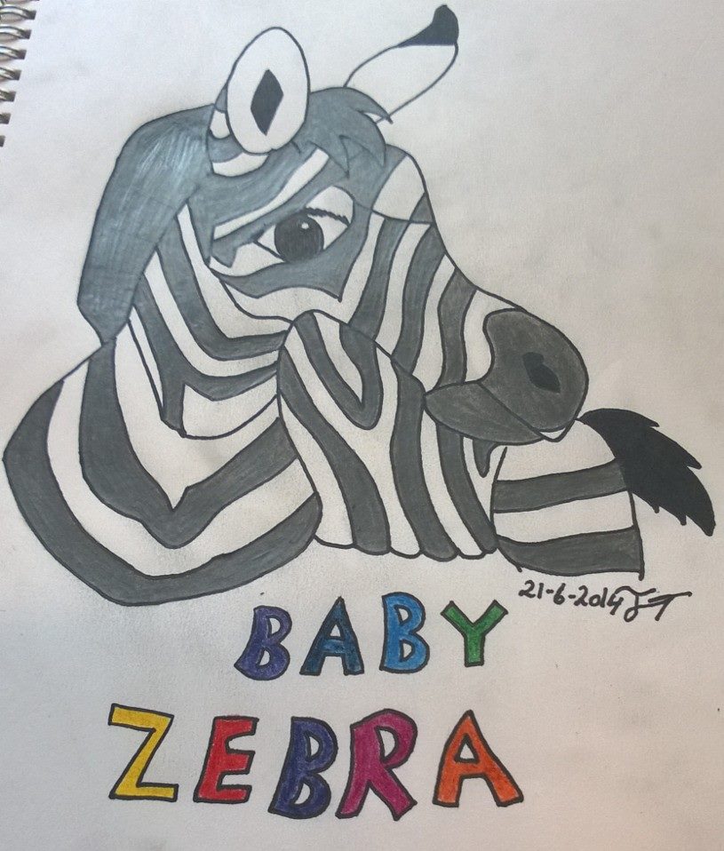 baby Zebra