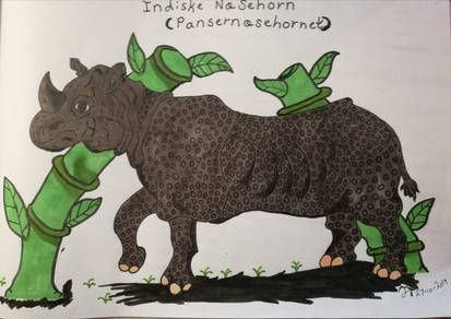 Indian rhinoceros