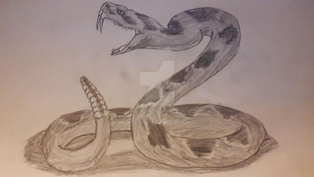 Diamondback Snake by Kingfier10 on DeviantArt