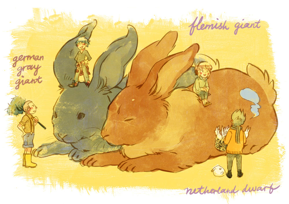 large giant rabbits by starstray on DeviantArt