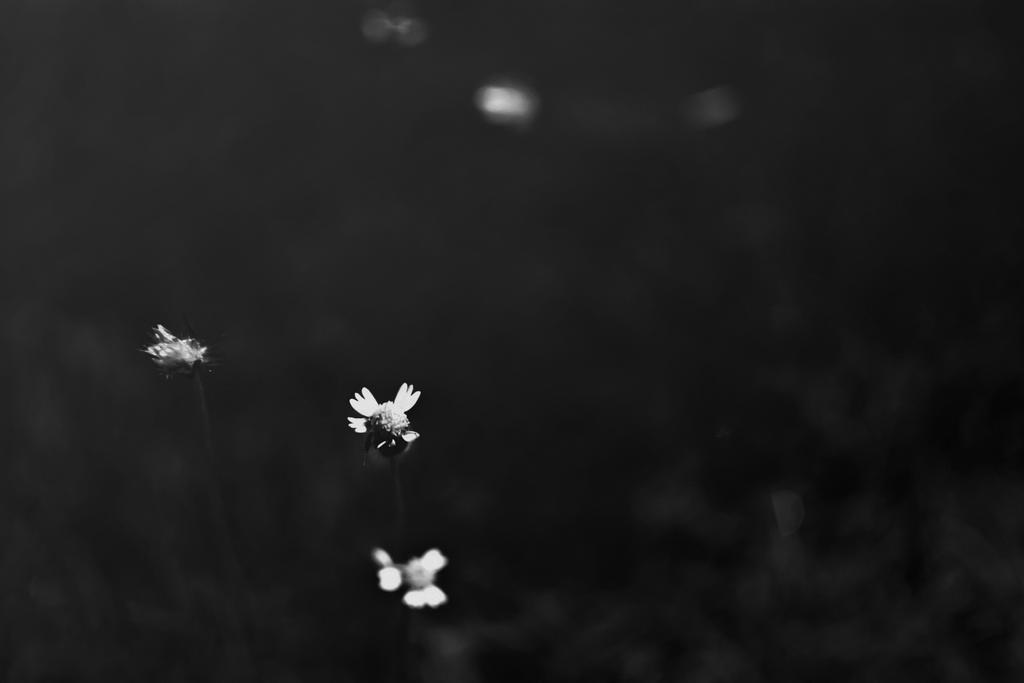Light by satyam9999 Light by satyam9999