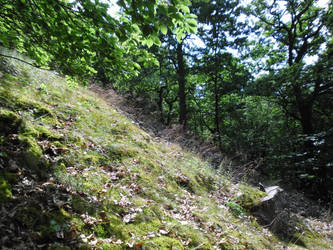 Downhill Side