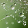 A Universe in a Dewdrop