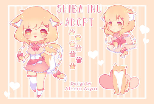 Adopt Auction | Shiba Inu Girl [CLOSED] - 5$