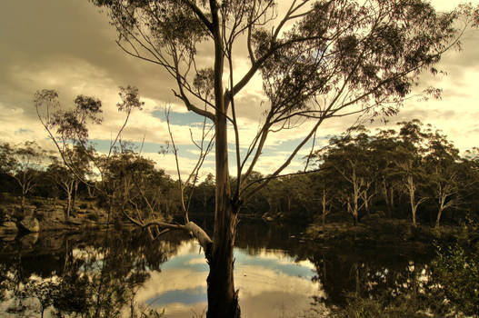 Parramatta Lake Reserve 2, Australia