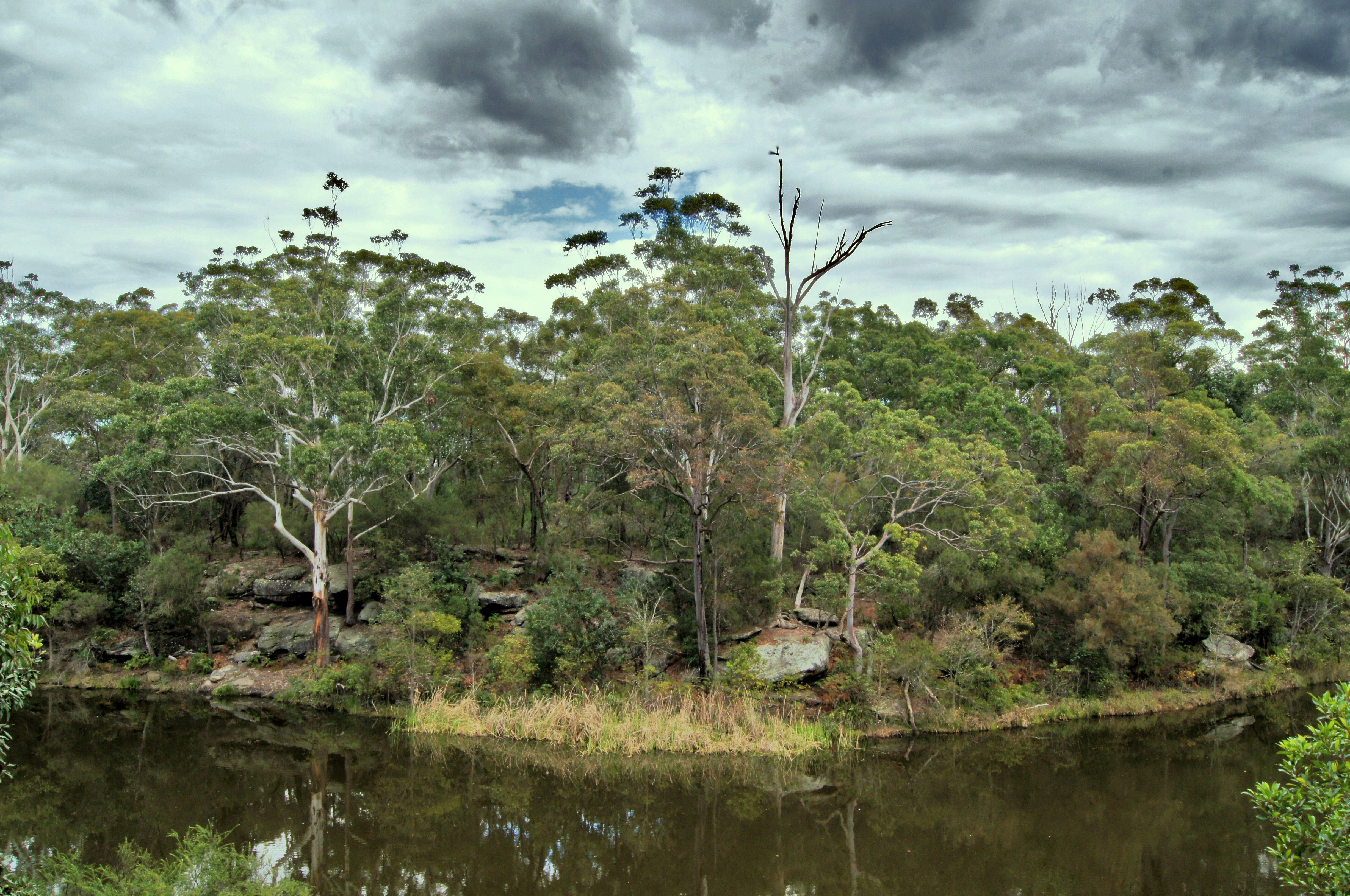 Parramatta Lake Reserve 5, Australia