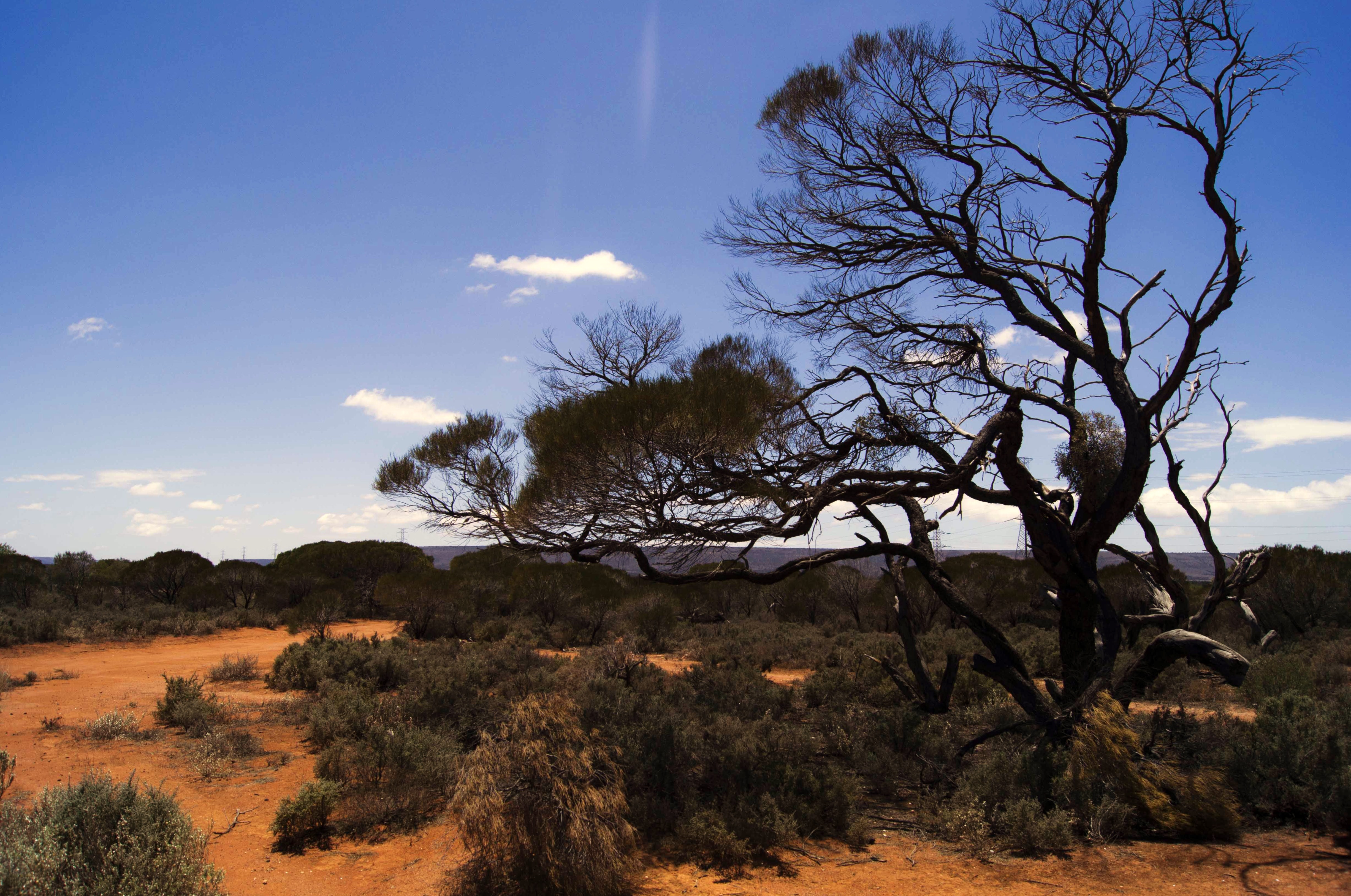 Outback of australia 9