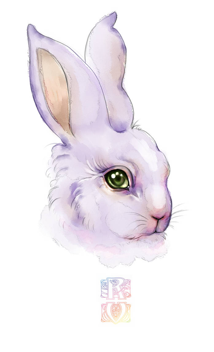cute rabbit by UmbHowl on DeviantArt