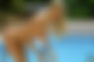 Actiongirlsadelepool038