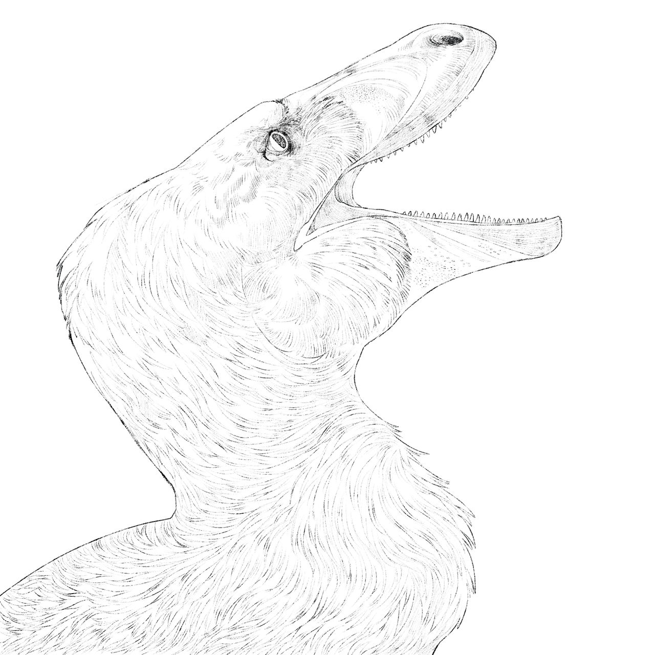 Utah Raptor Outlines utahraptor by magpiiie on DeviantArt