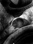 siesta-1 by guzin-guzin