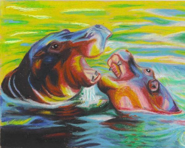 Hippopotamus Oil Pastels